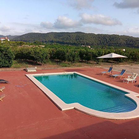 Casa Magnolia, A Rural Paradise House With Pool Alzira Exteriér fotografie