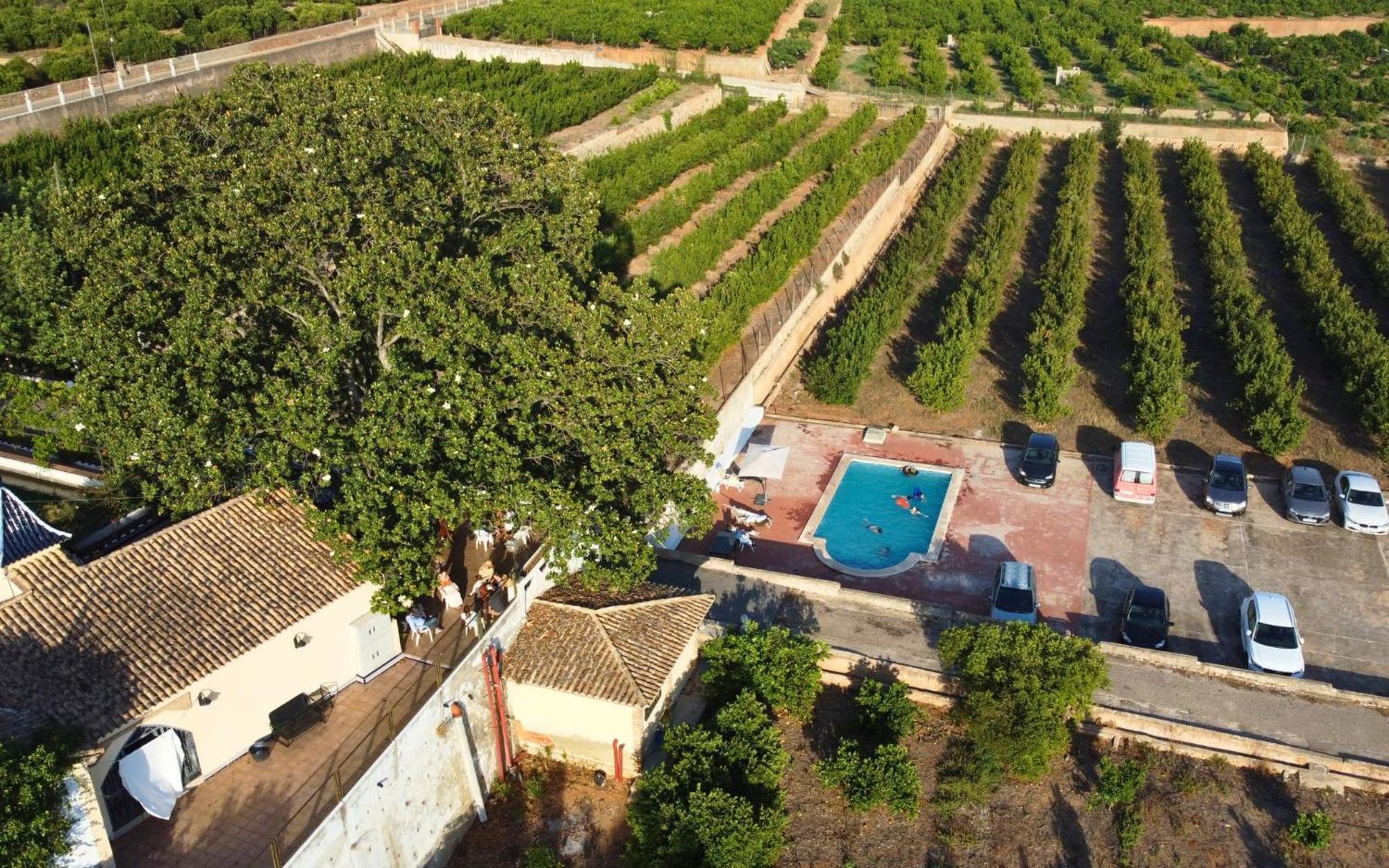 Casa Magnolia, A Rural Paradise House With Pool Alzira Exteriér fotografie