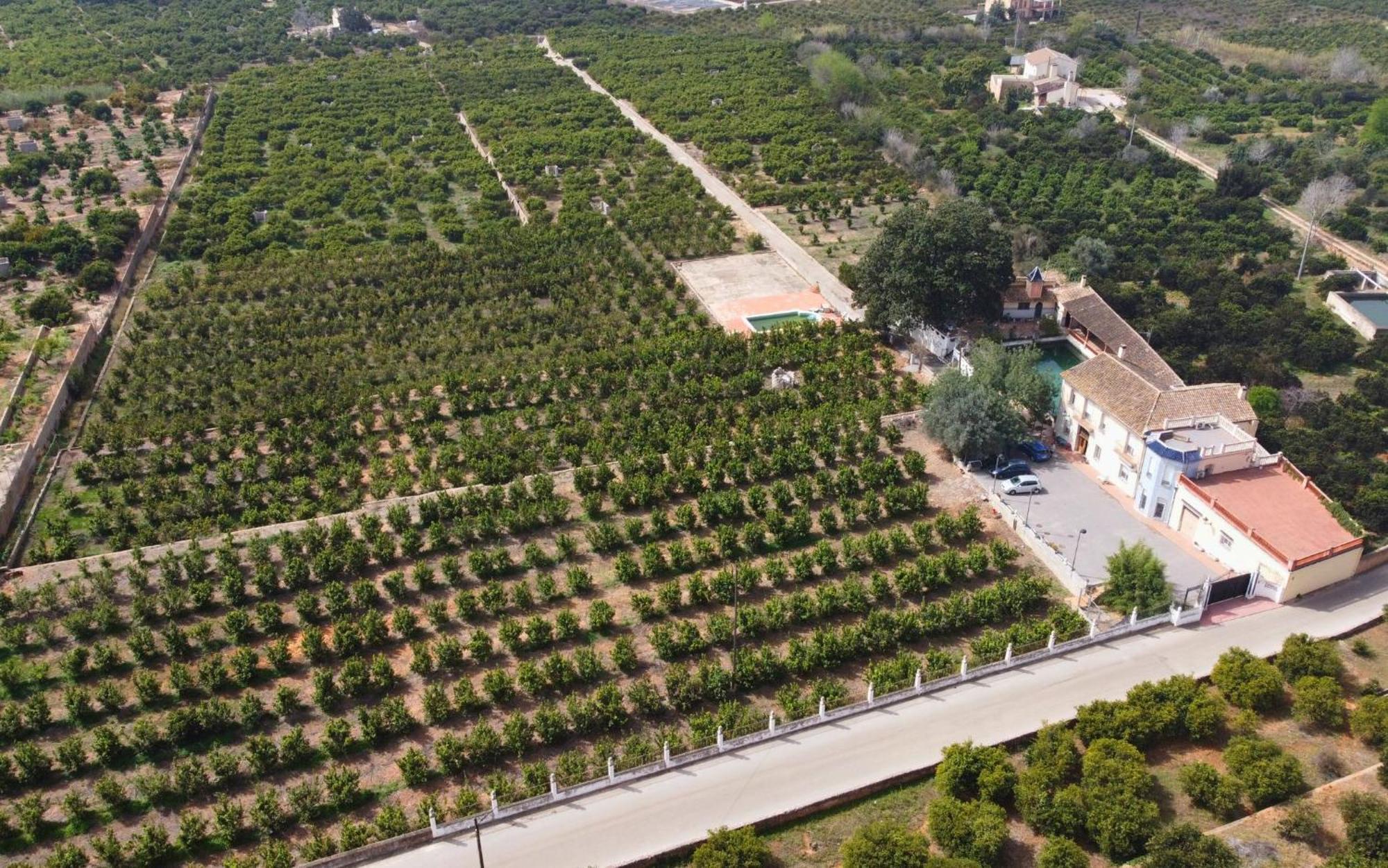 Casa Magnolia, A Rural Paradise House With Pool Alzira Exteriér fotografie
