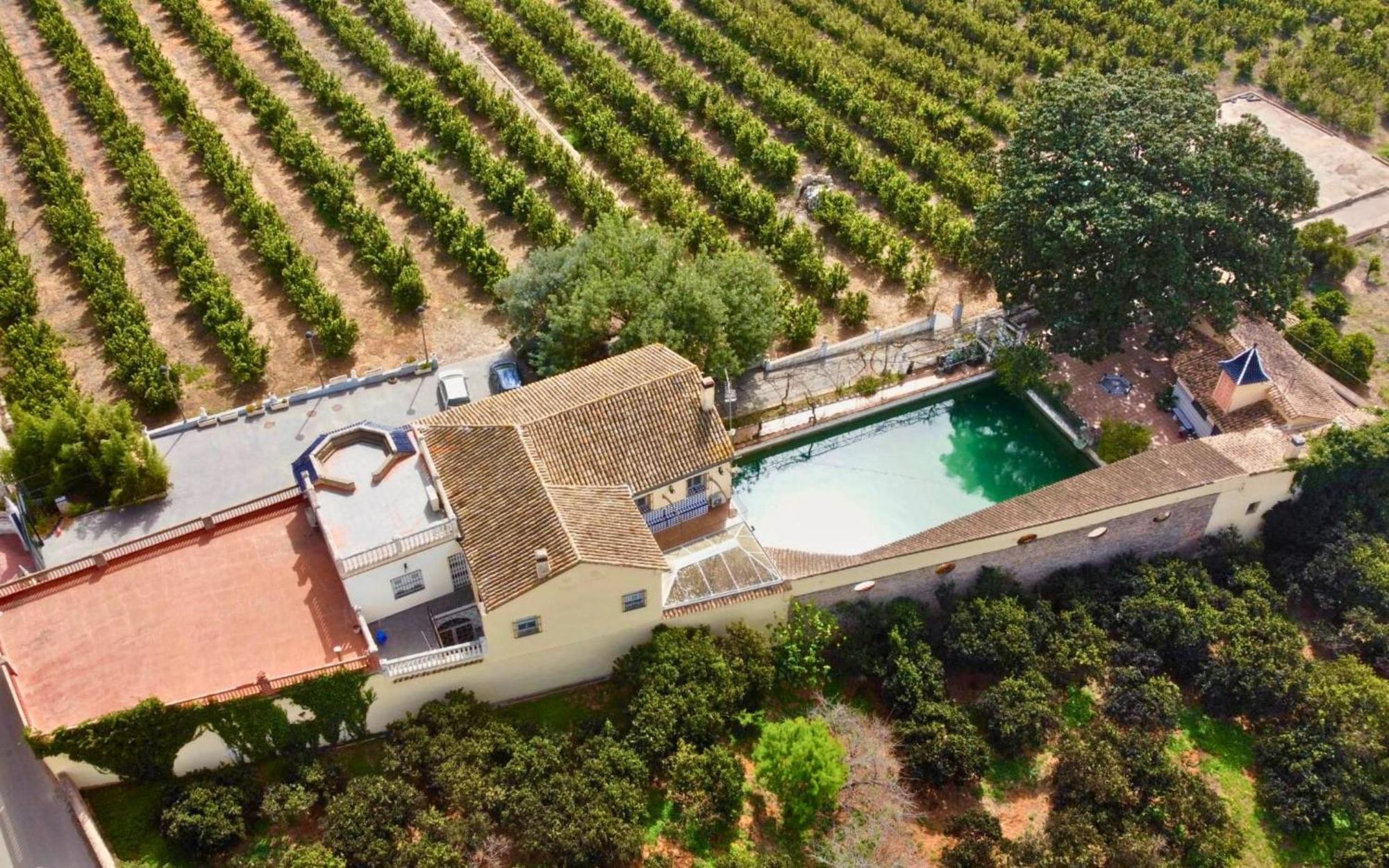 Casa Magnolia, A Rural Paradise House With Pool Alzira Exteriér fotografie